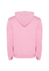 ROLY - Bluza Dziecięca/dziecięca Urban Hoodie. Kolor: różowy