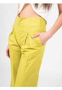 Pinko Spodnie "Teso 4" | 1G161E Y6VX | Teso 4 | Kobieta | Zielony. Stan: podwyższony. Kolor: zielony. Materiał: bawełna #4