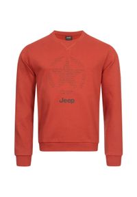 Męska bluza Jeep® o okrągłym dekolcie XL - Stylowy design. Kolor: wielokolorowy. Materiał: poliester, bawełna #1