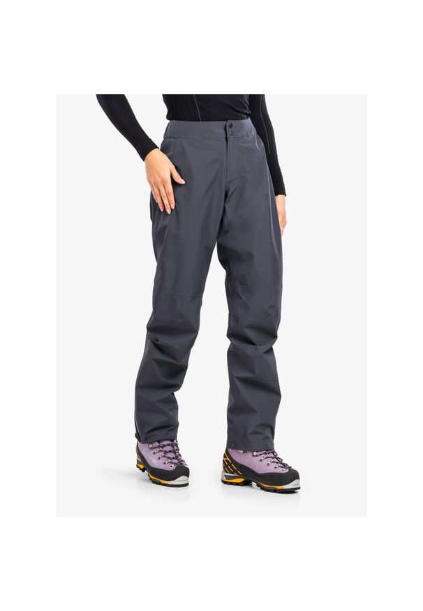 Spodnie damskie Black Diamond Liquid Point Pants. Kolor: szary