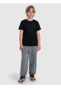 4f - 4F T-shirt regular z nadrukiem chłopięcy - czarny 158 (12-13 lat). Okazja: na co dzień. Kolor: czarny. Materiał: bawełna, materiał, jersey. Długość rękawa: krótki rękaw. Długość: krótkie. Wzór: nadruk. Sezon: lato. Styl: klasyczny, młodzieżowy, sportowy, casual