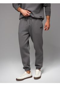 Ombre Clothing - Klasyczne spodnie dresowe ze ściągaczami unisex– szare V18. Kolor: szary. Materiał: dresówka. Wzór: aplikacja. Styl: klasyczny #10