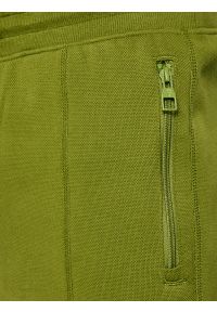 Big-Star - Spodnie męskie dresowe khaki Wladorp 301. Kolor: zielony. Materiał: dresówka. Wzór: nadruk, ze splotem #4