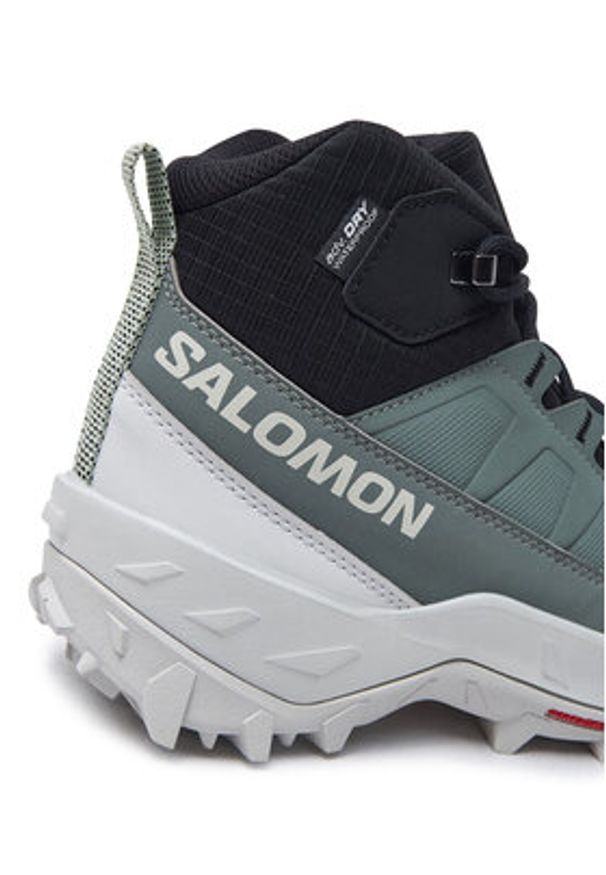 salomon - Salomon Trekkingi Crosstrak Waterproof L47570400 Zielony. Kolor: zielony. Materiał: materiał