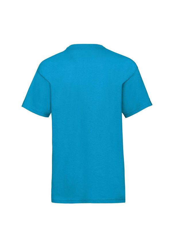 FRUIT OF THE LOOM - Koszulka Dziecięca Valueweight Plain T-shirt. Kolor: niebieski