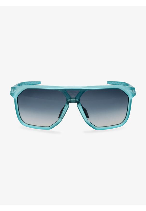 Okulary przeciwsłoneczne Dynafit Traverse Sunglasses - puritan grey/blueberry. Kolor: wielokolorowy, czarny, zielony