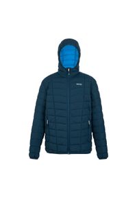 Regatta - Męska Ocieplana Kurtka Asper. Kolor: szary, niebieski, wielokolorowy. Materiał: puch. Sport: turystyka piesza #1