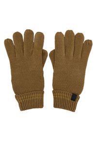 Regatta - Męskie Rękawiczki Balton III. Kolor: brązowy, niebieski, wielokolorowy. Sport: turystyka piesza #1