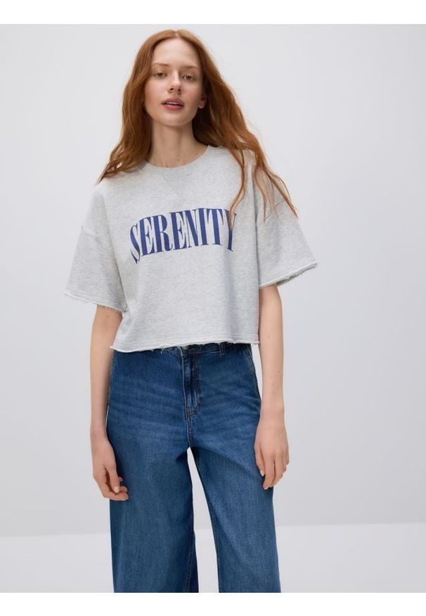 Reserved - T-shirt z nadrukiem - jasnoszary. Kolor: szary. Materiał: bawełna. Długość: krótkie. Wzór: nadruk