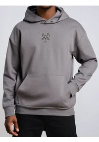 Sinsay - Bluza hoodie z haftem - szary. Kolor: szary. Wzór: haft #1