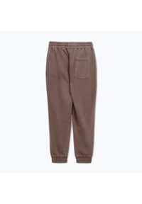 PITBULL - Spodnie męskie Pitbull Lancaster 2 Track Pants. Kolor: brązowy