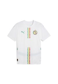 Puma - Męska koszulka domowa Senegal 2025 PUMA White Sport Green. Kolor: wielokolorowy, biały, zielony. Wzór: aplikacja