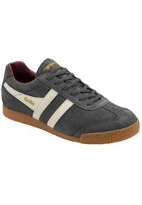 Buty do chodzenia męskie Gola Harrier. Kolor: szary, wielokolorowy. Materiał: zamsz, materiał. Szerokość cholewki: normalna. Sport: turystyka piesza #1
