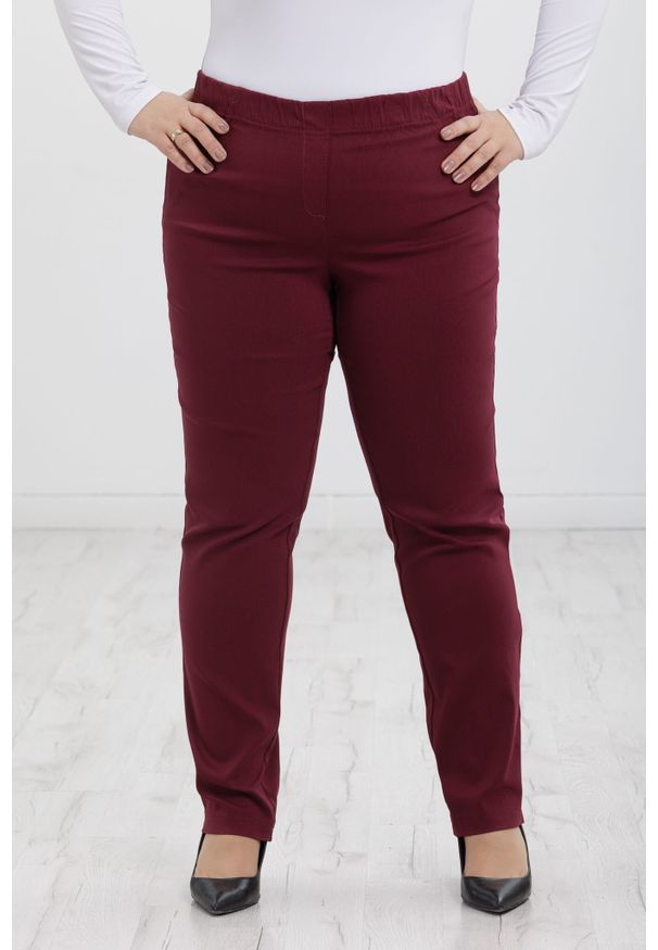 Nasi partnerzy - Bordowe spodnie Nilda z prostą nogawką wysoki stan PLUS SIZE XXL. Okazja: na co dzień, do pracy, na spacer. Stan: podwyższony. Kolekcja: plus size. Kolor: czerwony. Materiał: poliester, elastan, tkanina, materiał, włókno, wiskoza. Długość: krótkie. Styl: klasyczny, casual