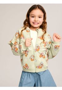 Sinsay - Bluza z falbanami PAW Patrol - zielony. Kolor: zielony. Długość rękawa: długi rękaw. Długość: długie