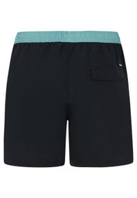 Protest - Szorty plażowe męskie PROTEST PRTBen. Kolor: wielokolorowy #2
