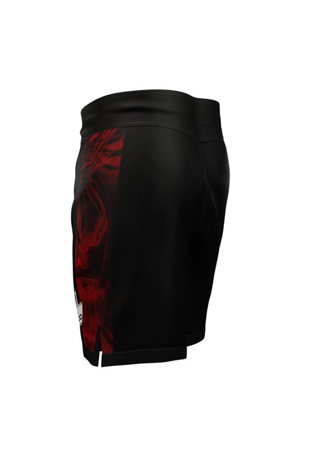 DBX BUSHIDO - Szorty spodenki treningowe do sportów walki Leone DBX Bushido. Kolor: czarny