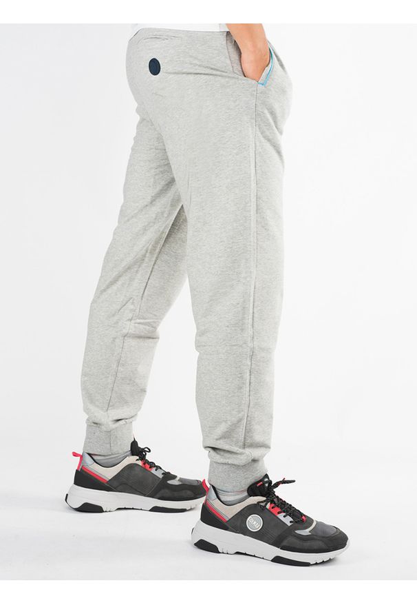 Bikkembergs Spodnie | C 1 52B GS E B066 | Mężczyzna | Szary. Okazja: na co dzień. Kolor: szary. Materiał: elastan, bawełna. Wzór: aplikacja. Styl: casual