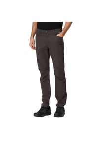 Kennick Regatta męskie trekkingowe spodnie elastyczne. Kolor: szary, wielokolorowy, fioletowy