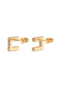 Elisabetta Franchi Kolczyki OR-01A-56E2-V150 Złoty. Materiał: metalowe. Kolor: złoty #4