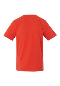 Regatta - T-shirt Męski Cline IX Cool Summer. Kolor: czerwony