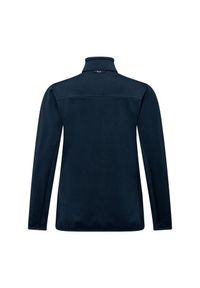 Salewa - Bluza trekkingowa damska Puez Altavia PL Women. Kolor: niebieski. Materiał: dzianina