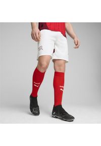 Puma - Męska replika spodenek do piłki nożnej reprezentacji Szwajcarii PUMA. Kolor: czerwony, biały, wielokolorowy. Sport: piłka nożna