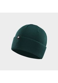 Czapka zimowa DZIK® zielona. Kolor: zielony. Materiał: wełna, włókno. Sezon: zima. Styl: sportowy
