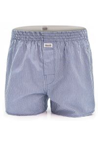 Męskie Bokserki Bawełniane - Pako Jeans - Drobna, Niebieska Kratka. Kolor: niebieski. Materiał: bawełna. Wzór: kratka #1