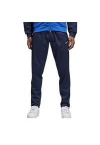 Spodnie turystyczne męskie Adidas Training Track. Kolor: niebieski. Materiał: bawełna, poliester. Sezon: lato. Sport: turystyka piesza #1