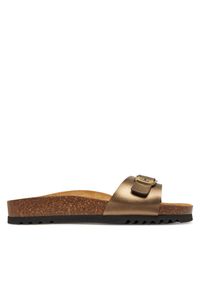 Klapki Scholl. Kolor: brązowy #1