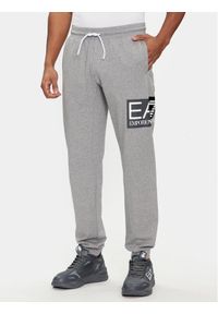 EA7 Emporio Armani Spodnie dresowe 3DPP73 PJ05Z 3905 Szary Regular Fit. Kolor: szary. Materiał: bawełna