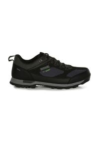 Buty trekkingowe męskie Regatta Blackthorn Evo Low wodoodporne. Kolor: szary #1