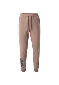 Męskie Sportowe spodnie dresowe bawełniane treningowe joggery Magnum Ibis. Kolor: beżowy. Materiał: dresówka, bawełna. Długość: długie