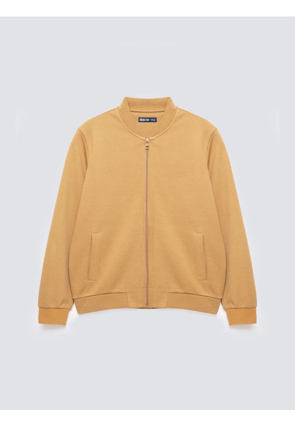 Big-Star - Bluza męska bomber jasnobrązowa Wladorb 803. Okazja: na spacer. Typ kołnierza: kołnierzyk stójkowy. Kolor: brązowy. Materiał: tkanina, materiał, dzianina. Wzór: nadruk. Styl: klasyczny, sportowy