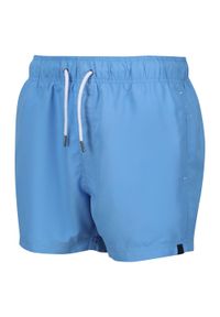 Regatta - Męskie szorty do pływania Mawson. Kolor: niebieski. Materiał: poliester
