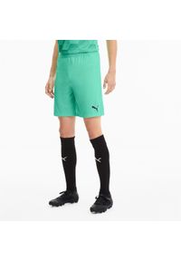 Spodenki Puma Teamfinal 21 Knit Shorts, Mężczyźni. Kolor: zielony. Materiał: poliester, materiał. Długość: krótkie