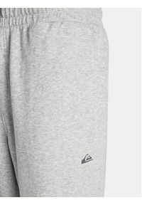 Quiksilver Spodnie dresowe Salt Water AQYFB03034 Szary Regular Fit. Kolor: szary. Materiał: bawełna