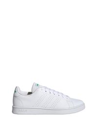 Buty Mężczyzna Adidas Advantage Base biały. Kolor: zielony, biały, wielokolorowy. Materiał: materiał. Model: Adidas Advantage. Sport: turystyka piesza