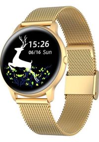 Smartwatch Gino Rossi SW015-5 Złoty (15696-uniw). Rodzaj zegarka: smartwatch. Kolor: złoty #1
