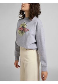 Lee - DAMSKA BLUZA LEE CUT & SEW RAGLAN SWS GREY MELE L36UTX37 112107919. Długość rękawa: raglanowy rękaw