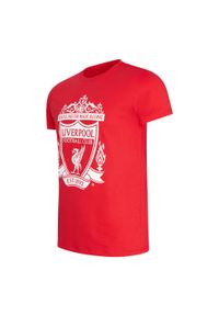 LIVERPOOL FC - koszulka dziecięca Liverpool FC - czerwona. Kolor: czerwony. Materiał: bawełna