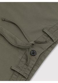 Pako Lorente - PAKO LORENTE – Zielone gładkie szorty męskie. Okazja: na co dzień. Kolor: zielony. Długość: krótkie. Wzór: gładki. Sezon: lato. Styl: casual #8