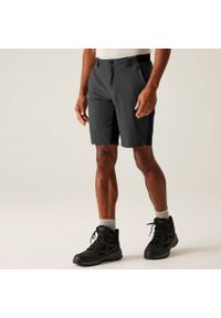 Regatta - Spodenki trekkingowe męskie Eldes. Kolor: szary. Sport: turystyka piesza #1