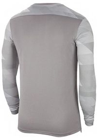 Koszulka bramkarska dziecięca Nike Dri-FIT Park IV Goalkeeper. Kolor: szary. Technologia: Dri-Fit (Nike)