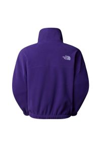 The North Face Polar 100 Glacier Half Zip Fleece Nf0A89J9Nl4. Kolor: fioletowy. Materiał: polar