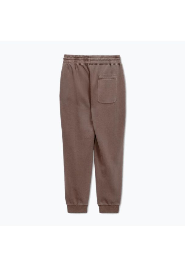 PITBULL - Spodnie męskie Pitbull Lancaster 2 Track Pants. Kolor: brązowy