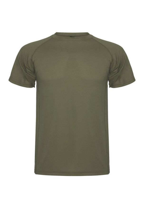 ROLY - Męska Koszulka Sportowa Montecarlo Z Krótkim Rękawem. Kolor: zielony. Długość rękawa: krótki rękaw. Długość: krótkie. Sport: turystyka piesza