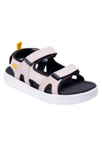 Iguana - Sandały Męskie Leiso. Kolor: szary. Sport: turystyka piesza #1