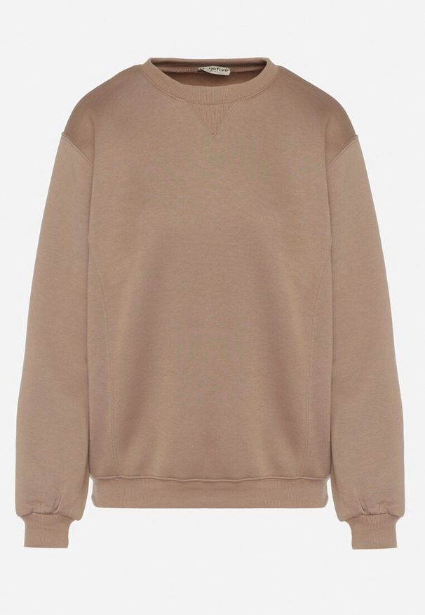 Born2be - Ciemnobeżowa Bluza z Bawełną Ozdobiona Przeszyciami Fezoria. Okazja: na co dzień. Kolor: beżowy. Materiał: bawełna. Wzór: aplikacja. Styl: casual, klasyczny